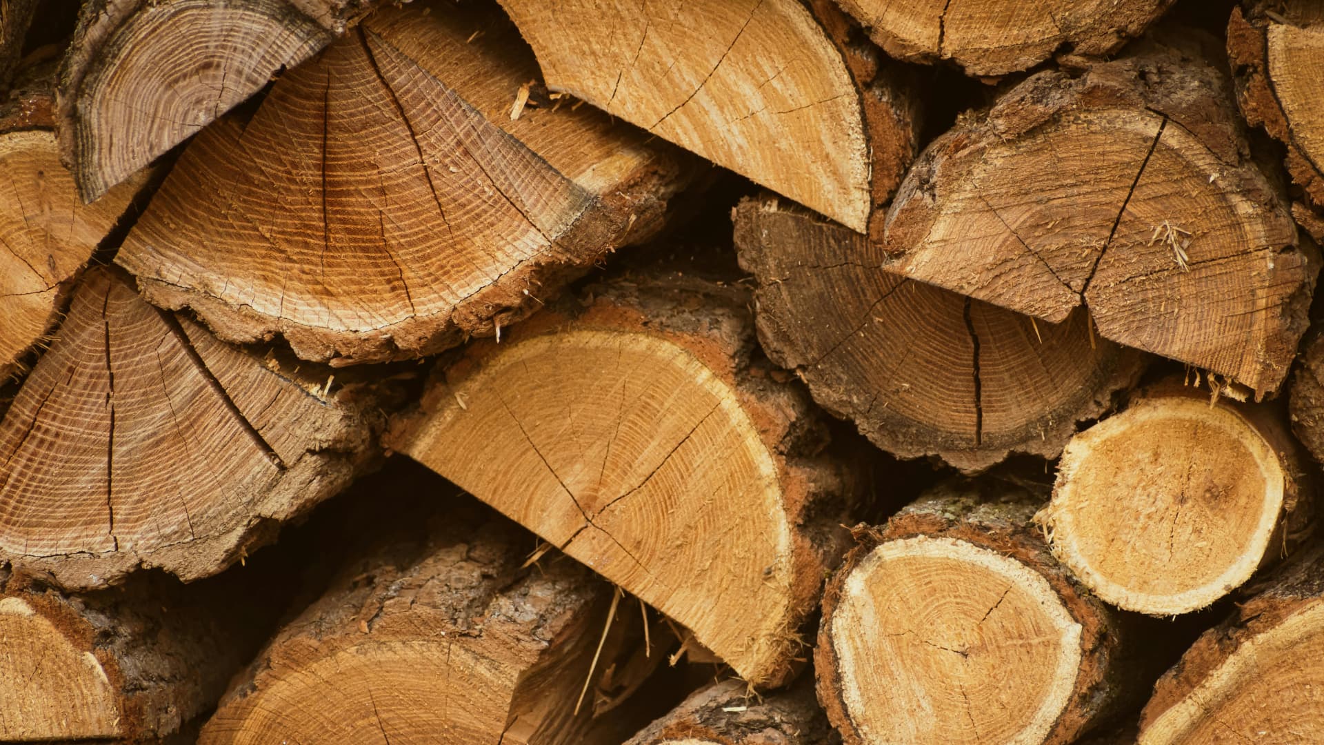 NACHHALTIGES BAUEN
MIT HOLZ