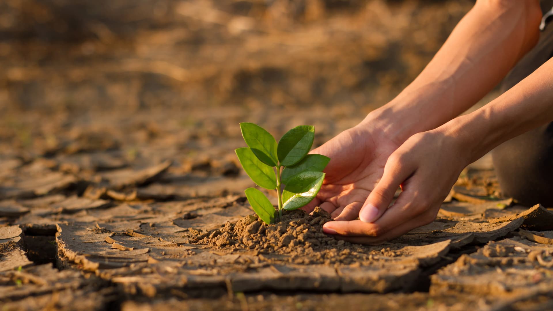 KLIMAFREUNDLICHES
FERTIGHAUS